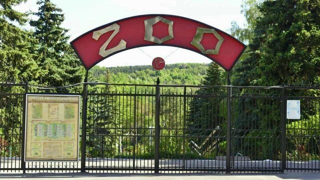 Радостная новость! В Кишиневском зоопарке родилось много зверушек