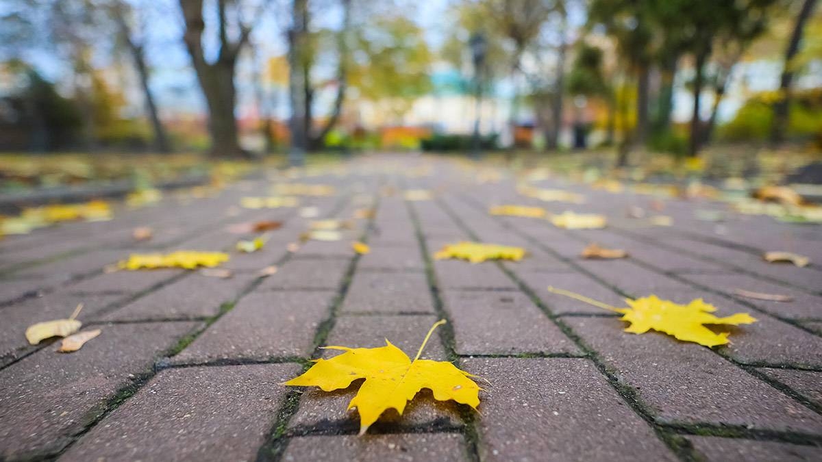 В Молдове резко похолодает