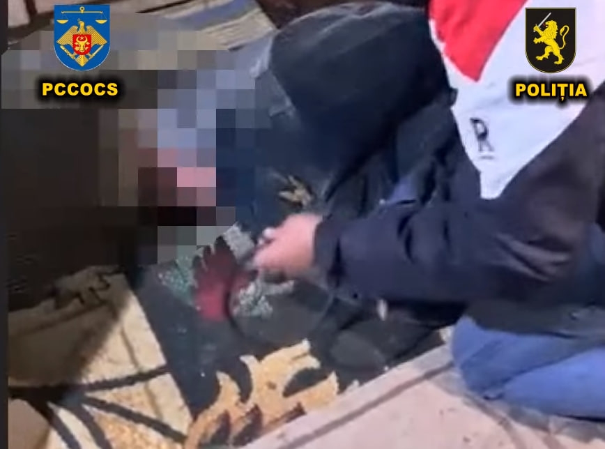 72-летний дед заказал убийство у бывшего зэка из-за ревности к жене