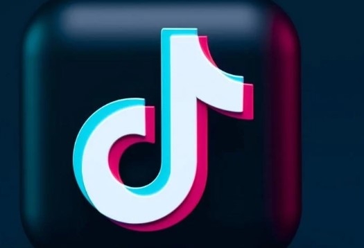 TikTok под угрозой закрытия в Молдове