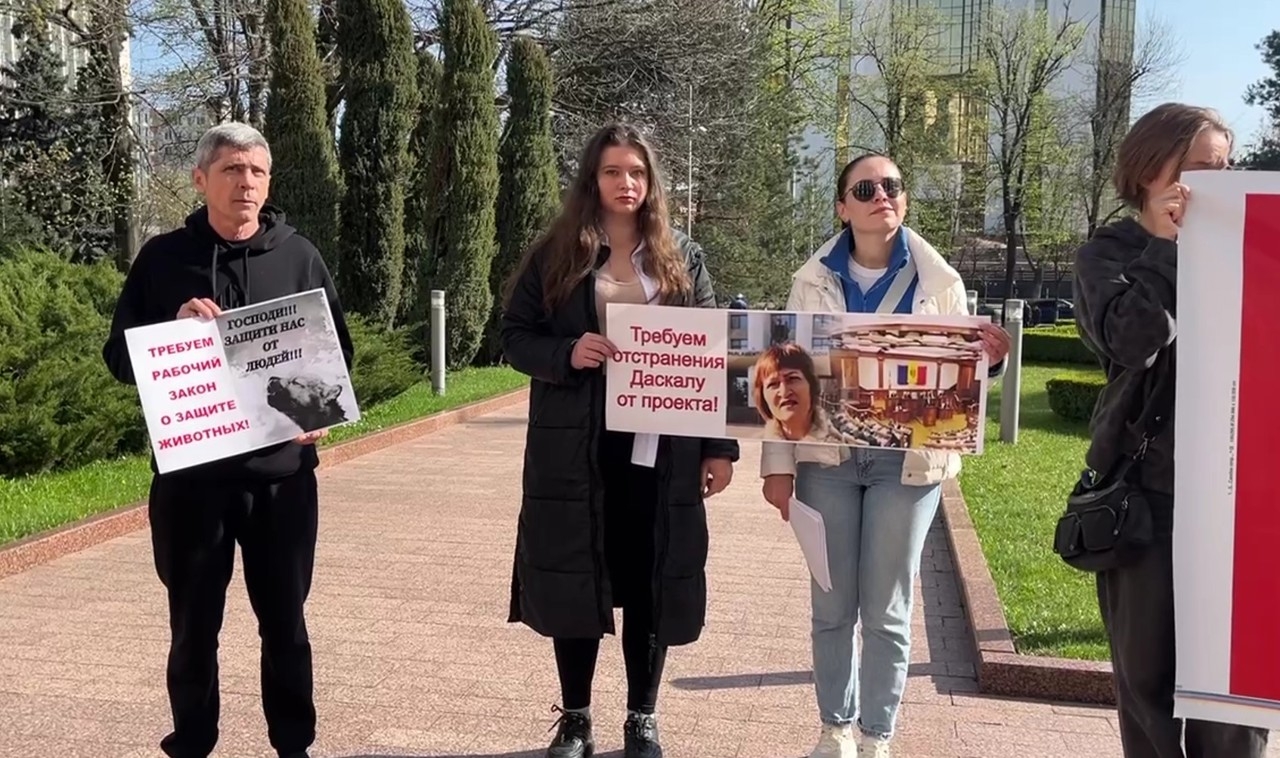 Закон о защите животных вызвал волну недовольства — активисты вышли на протест