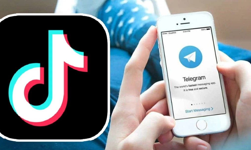 Правительство Молдовы опровергло слухи о возможной блокировке Telegram и TikTok перед выборами