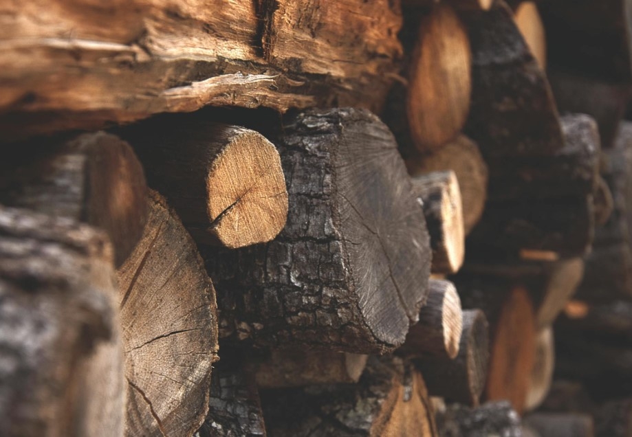 В Молдове введут единую цену на дрова по всей стране